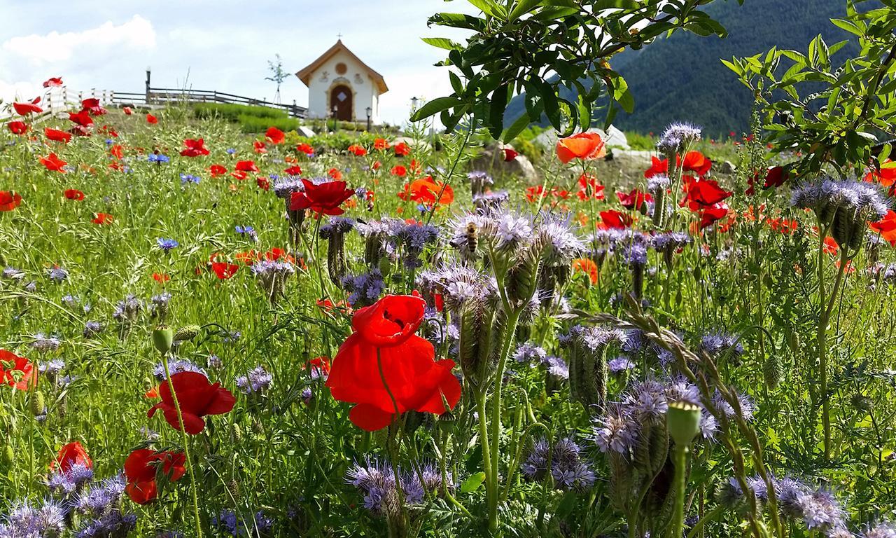 Forster'S Naturresort Neustift im Stubaital Luaran gambar